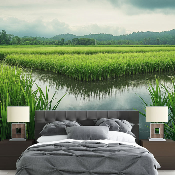 Foto Behang landschap van rijstvelden | Luxe rijstvelden onder een bewolkte hemel
