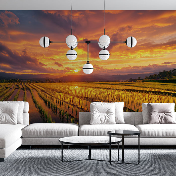 Tapeta krajobrazowa z polami ryżowymi | Bujne pola ryżowe i zachód słońca