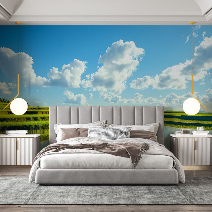 Ταπετσαρία τοπίου από ορυζώνες | Πράσινοι καταπράσινοι ορυζώνες κάτω από έναν φωτεινό ουρανό