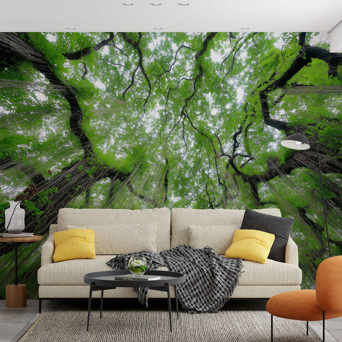 Papel pintado bosque paisaje | Vista aérea de un exuberante techo frondoso