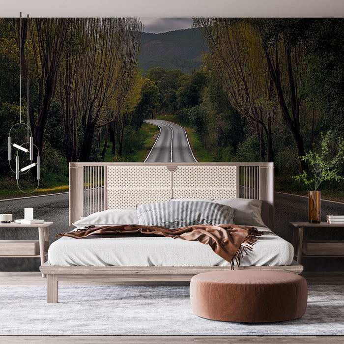 Tapeta cestní krajina | Klikatá cesta obklopená bujnými stromy