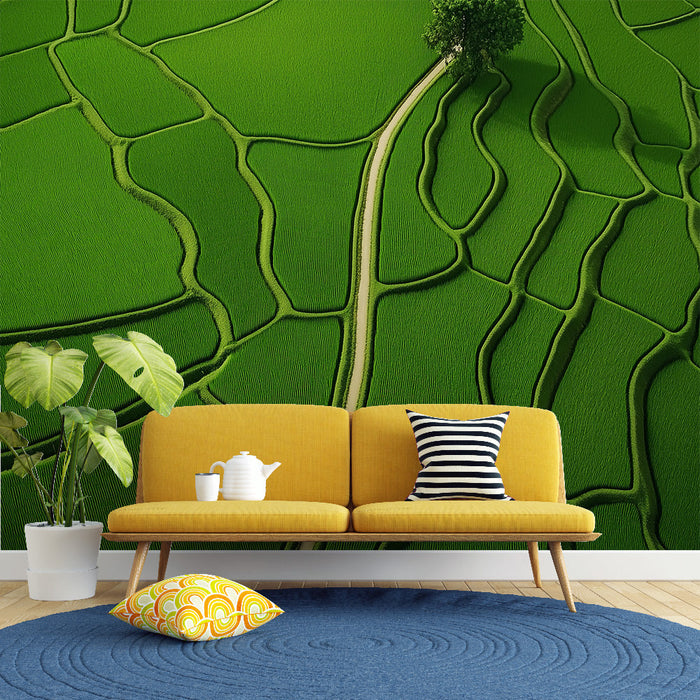 Mural Wallpaper agricultural landscapes | Vibrant and lush rice field terrains