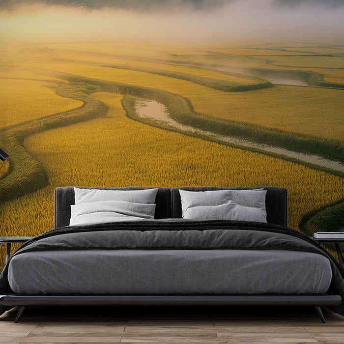 Tapeta rižinih polja | Zlatni sjaj u jutarnjoj magli