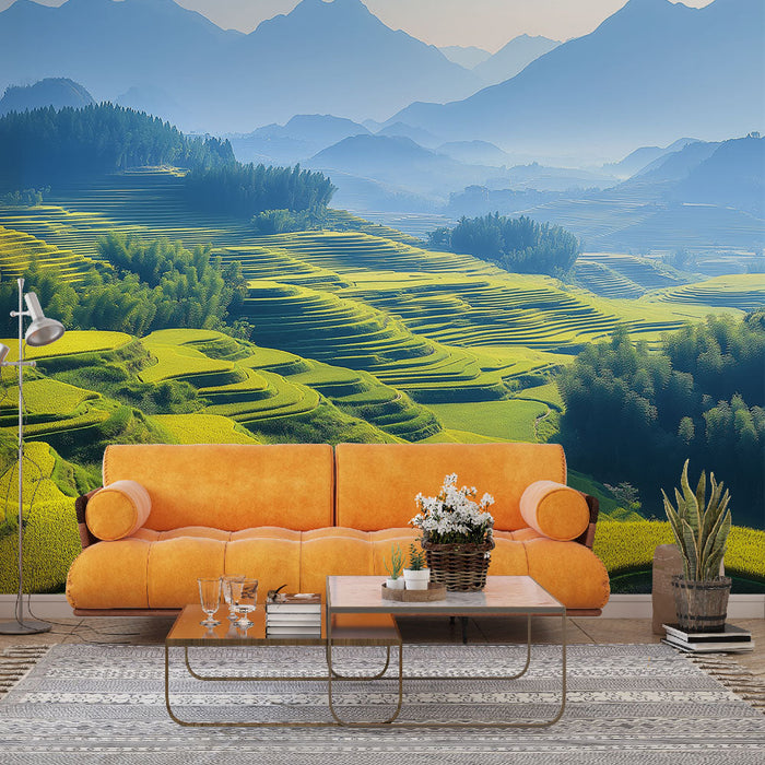 Tapete paisagens de campos de arroz | Vastos campos de arroz em terraços sob um céu azul