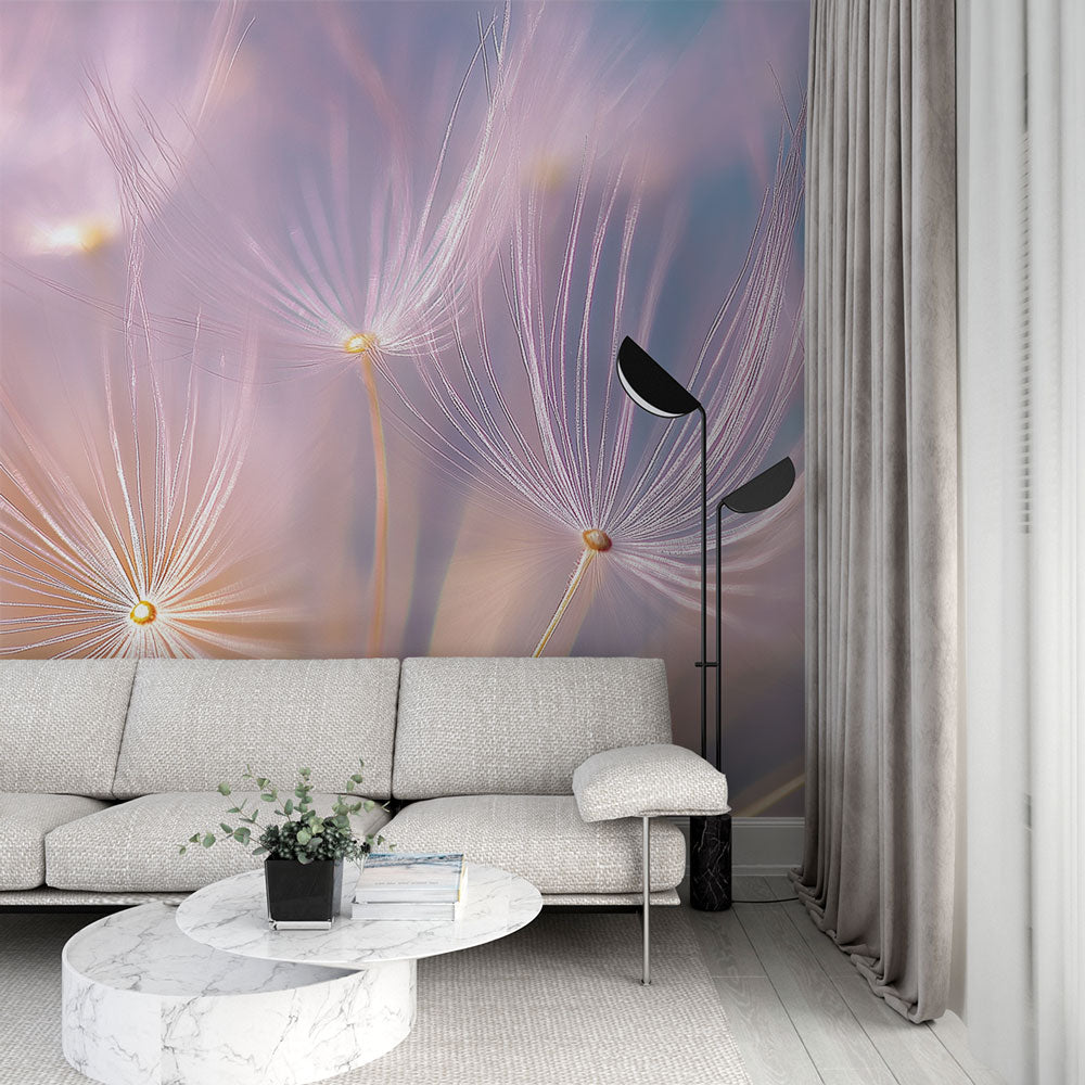Papier Peint - Dandelion 375x250cm - Intissé