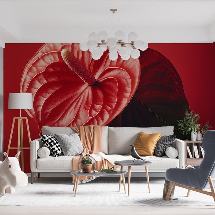 Seinapilt troopiline taim | Antuuriumi õied erksate punaste kroonlehtedega