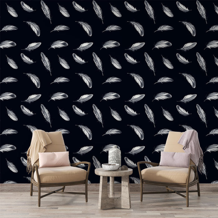 Fototapet plumes | Delikate fjer på sort baggrund