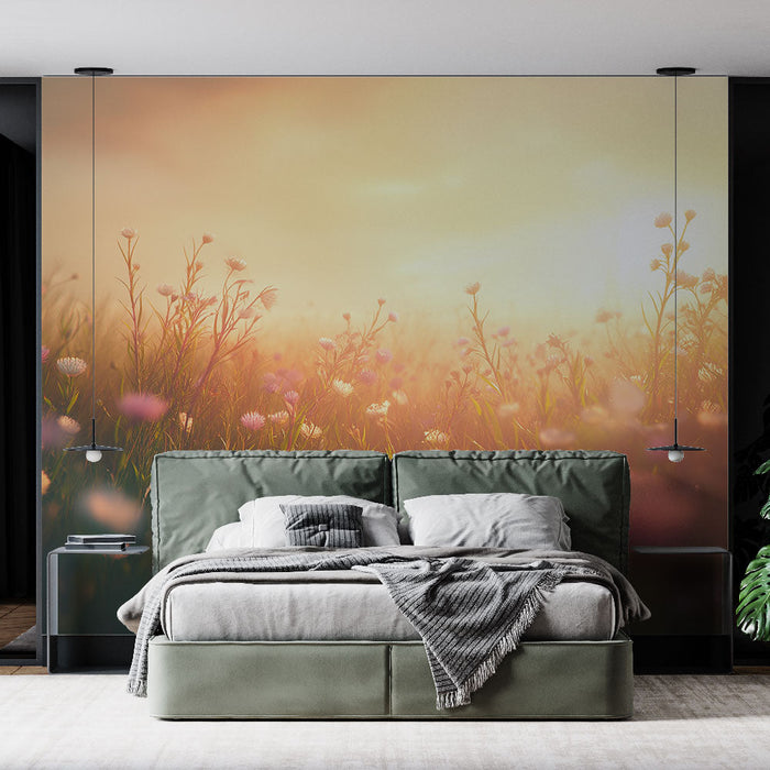 Foto Behang prairie | Veld van kleurrijke bloemen verlicht door de ondergaande zon