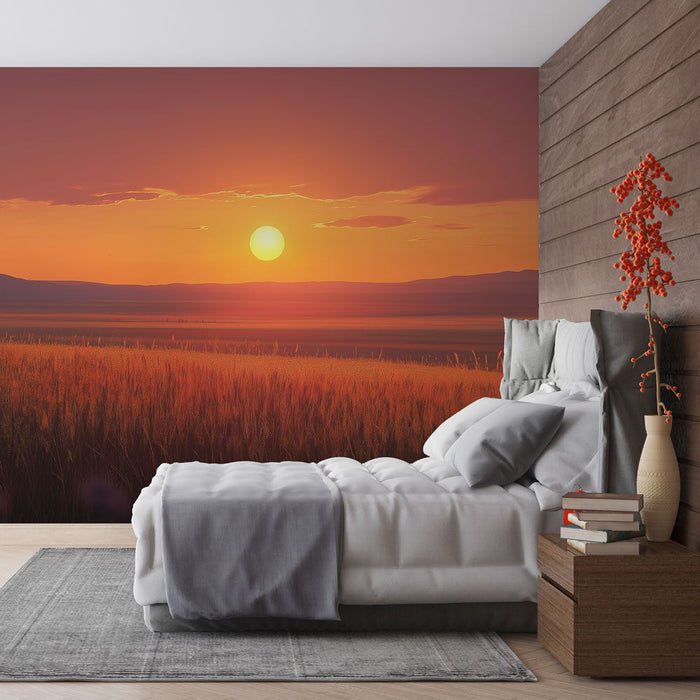 Foto Behang prairie | Zonsondergang over een gouden prairie