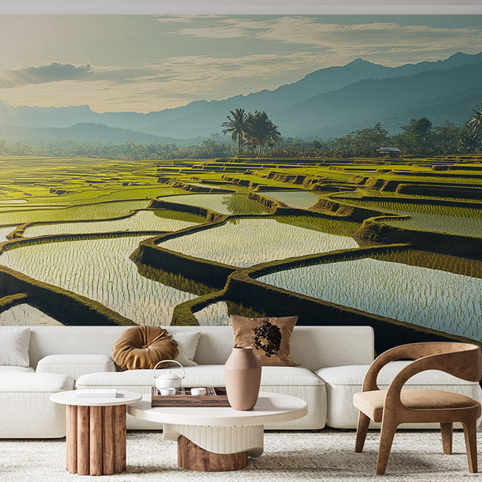 Ταπετσαρία τοίχου rice field | Τοπίο αναβαθμίδων ορυζώνων κατά την ανατολή του ηλίου