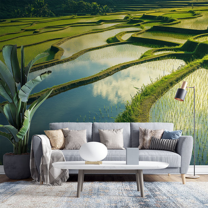 Tapete reisfeld | Landschaft aus üppig grünen Reisfeldern mit einer friedlichen Spiegelung