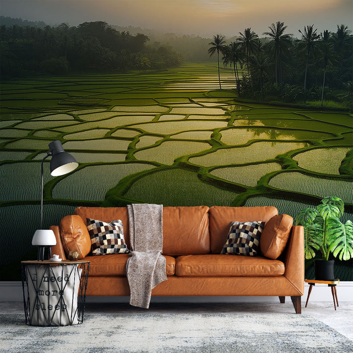 Maalritapet riisipõllud | Rohelised riisipõllud päikeseloojangul