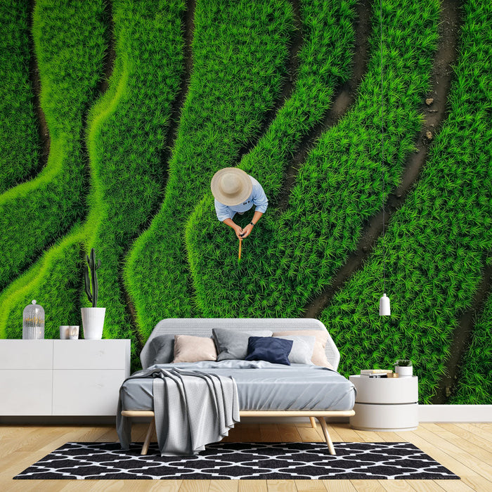 Muraaltapeet riisipõllud | Lopsakad rohelised riisiterrassid