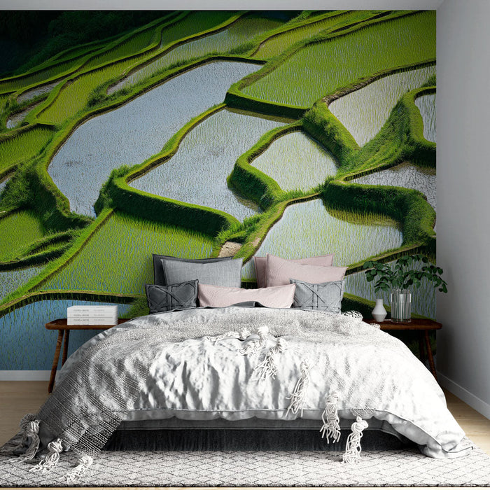 Rizsföldek falfestmény tapéta | Teraszos rizsföldek mintázata vízvisszaverődésekkel