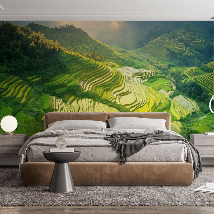 Carta da parati campi di riso | Paesaggio di rigogliosi campi di riso terrazzati