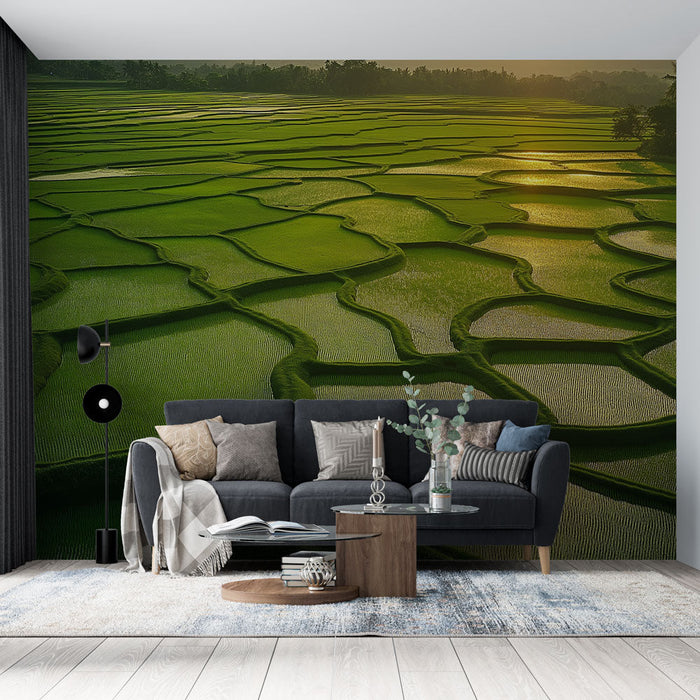 Tapetti riisipellot | upeat vihreät riisiterassipellot auringonnousussa