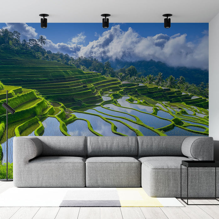 Carta da parati campi di riso | Terre verdi terrazzate con riflessi d'acqua