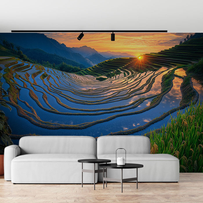 Tapet câmpuri de orez | Terenuri terasate reflectând apusul