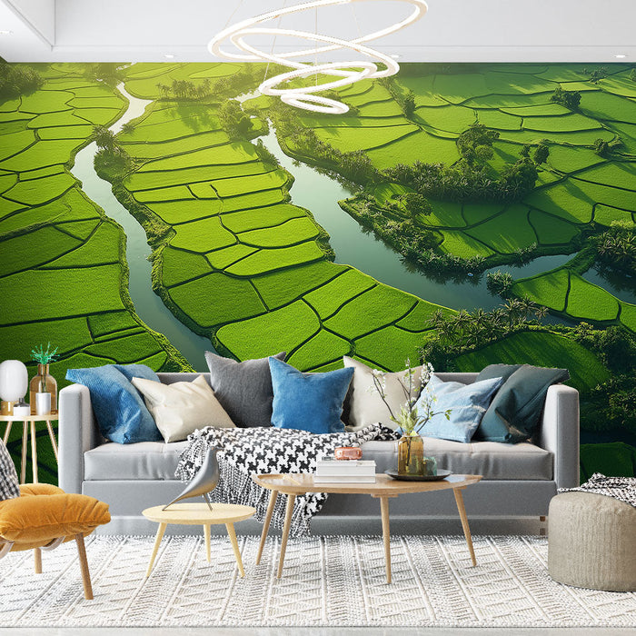 Papel de parede campos de arroz | Vastos campos de arroz verde e um rio sinuoso