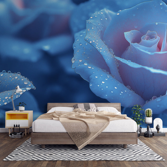 Mural Wallpaper blue roses | Delicate flower with water droplets