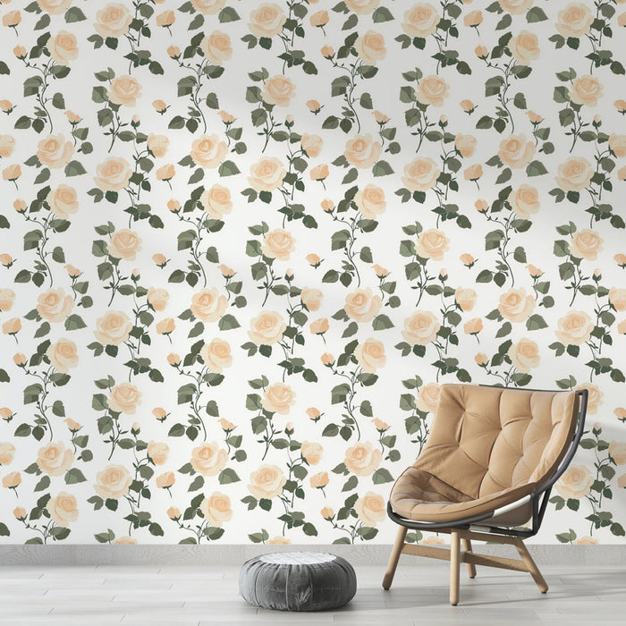 Tapetti Mural ruusut | Elegantit persikkaruusut valkoisella taustalla