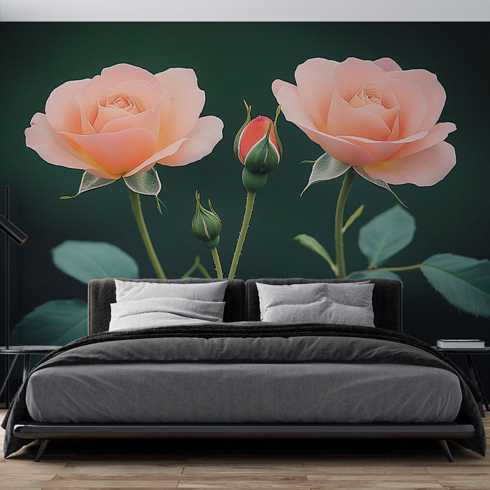 Tapete lachsrosen | Sanfte Blumen auf dunklem Hintergrund