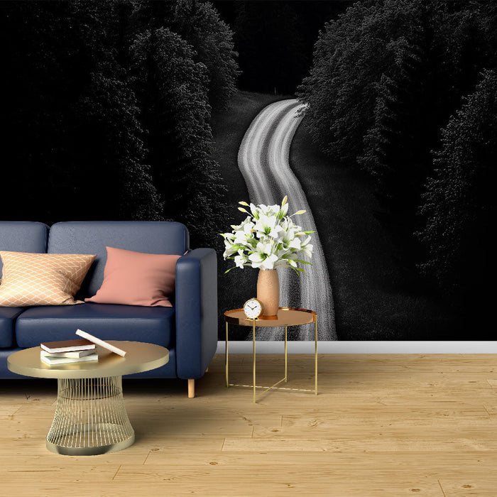 Tapetti winding-road | Salaperäinen tie, jota reunustavat tummat puut