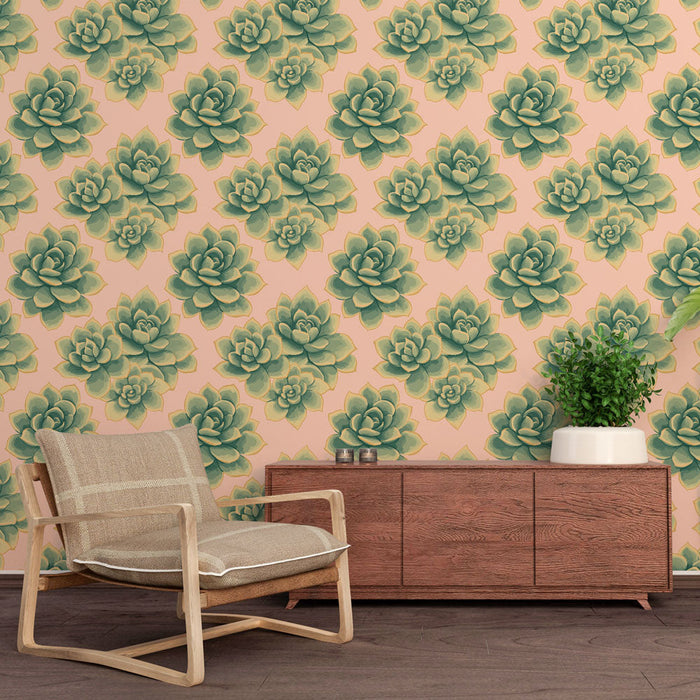 Carta da parati con succulente | Splendido motivo di piante succulente su sfondo rosa