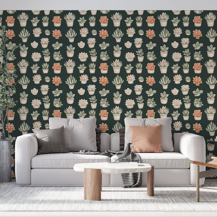 Fototapet sukkulenter | Plante mønstre i potter på en mørk bakgrunn