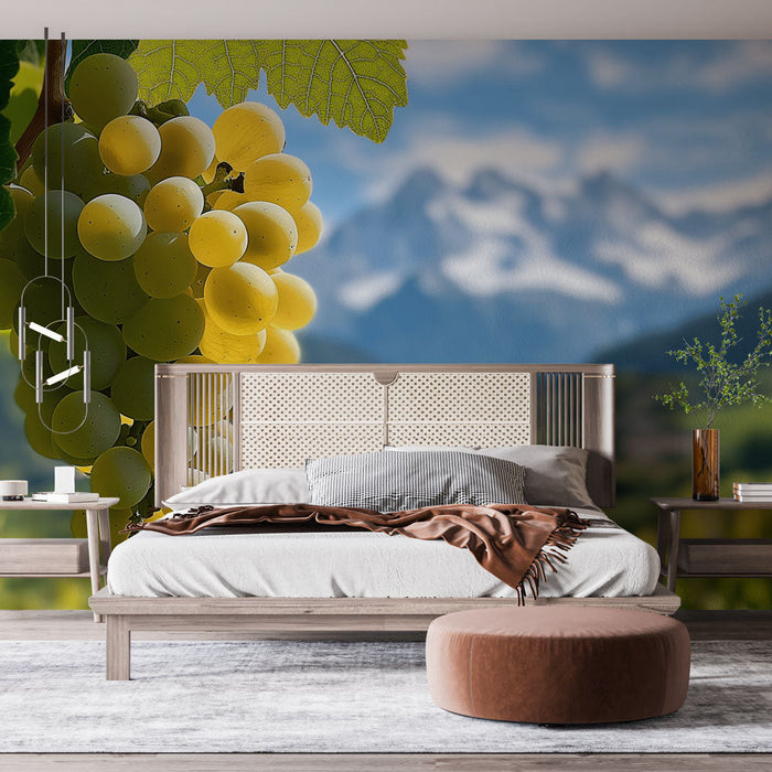 Mural Wallpaper grapevine | Fresh yellow grapes on a mountainous backdrop
Foto Behang viinapuu | Värsked kollased viinamarjad mägise taustaga