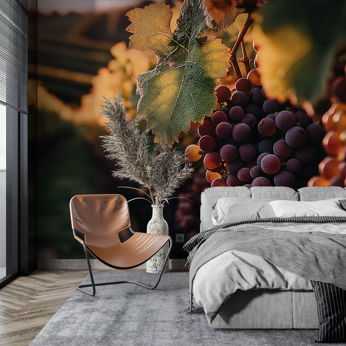 Falfestmény szőlőtőkék | Szőlőfürtök naplementekor