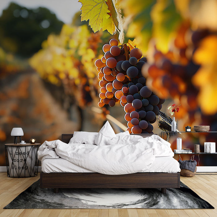 Mural Wallpaper vines | Grapes and autumn foliage