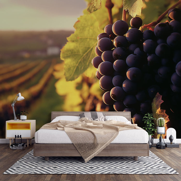 Tapeta réva | Černé hrozny za soumraku