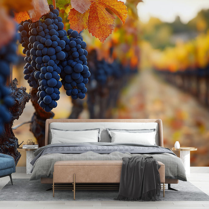 Mural Wallpaper vines | Black grapes and autumn foliage