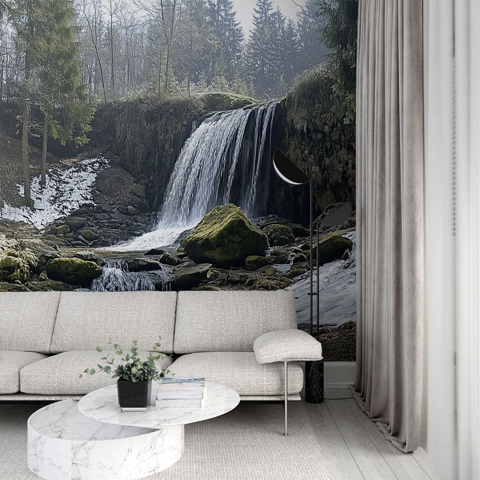 Seinapilt kosega | Lumine metsa maastik