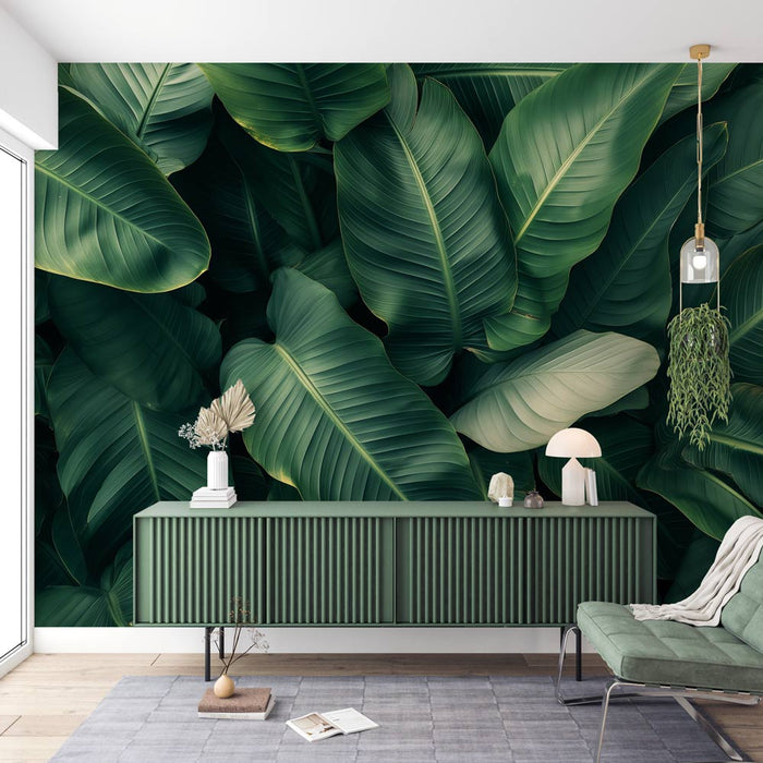 Banana Leaf Mural Wallpaper | Large Leaves