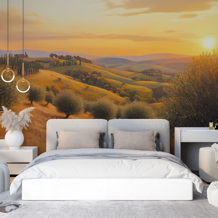 Tapete Toskanische Landschaft | Feld und Olivenbäume bei Sonnenuntergang