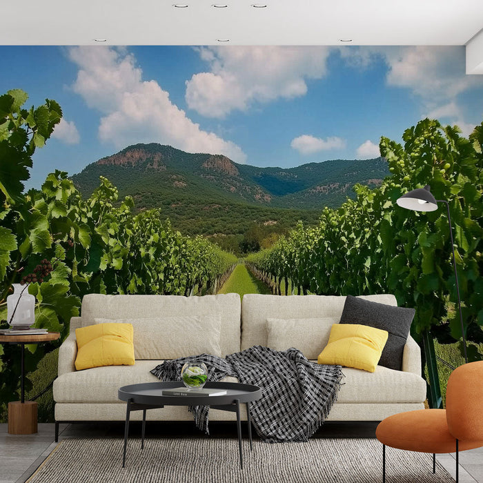 Papel de parede vinícola | Paisagem pitoresca de vinhedo exuberante